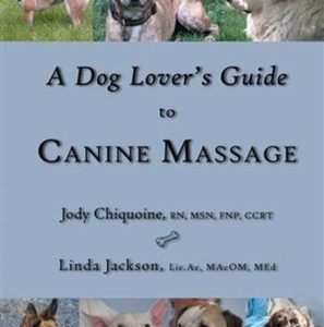 A Dog Lover's Guide to Canine Massage
