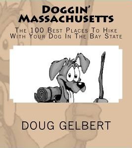 Doggin' Massachusetts: The 100 Best Places To Hike With Your Dog In The Bay State
