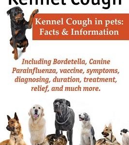 Kennel Cough. Including Symptoms, Diagnosing, Duration, Treatment, Relief, Bordetella, Canine Parainfluenza, Vaccine, and Much More. Kennel Cough in P