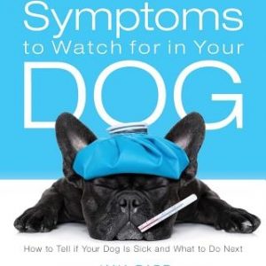 Symptoms to Watch for in Your Dog: How to Tell if Your Dog Is Sick and What to Do Next