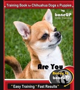 Chihuahua Training Book for Chihuahua Dogs & Puppies By BoneUP DOG Training,: Are You Ready to Bone Up? Easy Training * Fast Results, Chihuahua Traini