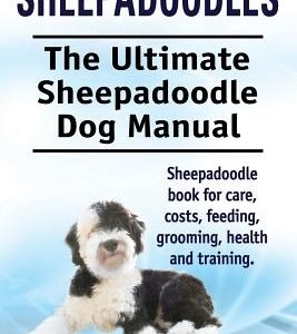 Sheepadoodles. Ultimate Sheepadoodle Dog Manual. Sheepadoodle book for care, costs, feeding, grooming, health and training.