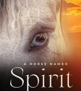 A Horse Named Spirit