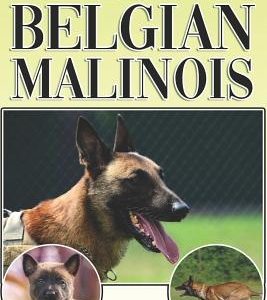 The Belgian Malinois: A Complete and Comprehensive Beginners Guide To: Buying, Owning, Health, Grooming, Training, Obedience, Understanding