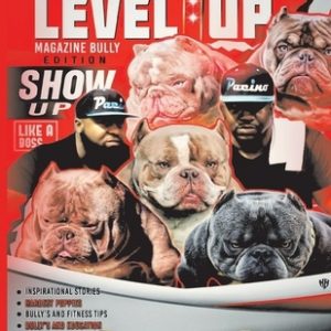 Level Up Magazine Bully Edition