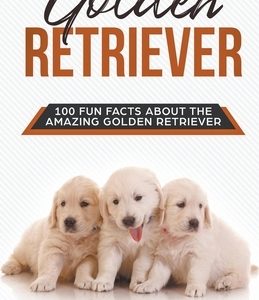 Golden Retriever 100 Fun Facts About the Amazing Golden Retriever