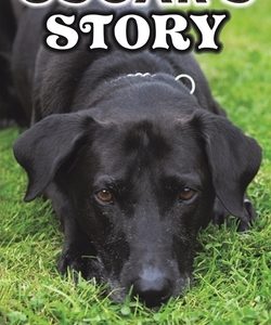 Oscar's Story