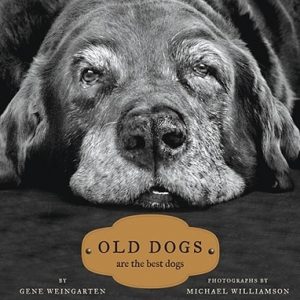 Old Dogs: Are the Best Dogs