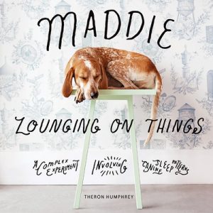 Maddie Lounging on Things: A Complex Experiment Involving Canine Sleep Patterns