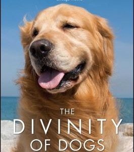 The Divinity of Dogs: True Stories of Miracles Inspired by Man's Best Friend