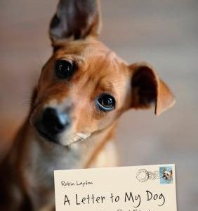 A Letter to My Dog: Notes to Our Best Friends