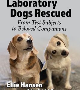 Laboratory Dogs Rescued: From Test Subjects to Beloved Companions