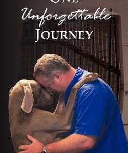 One Unforgettable Journey