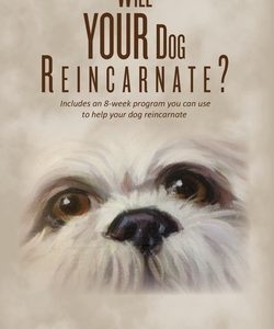 Will YOUR Dog Reincarnate?
