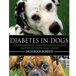 Diabetes in Dogs: A Comprehensive Guide to Diabetes in Dogs