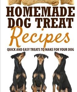 Homemade Dog Treat Recipes: Quick and Easy Treats to Make for Your Dog