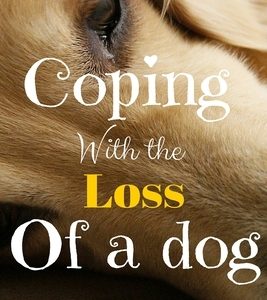 Coping With The Loss Of A Dog: How To Deal With The Death Of Your Friend