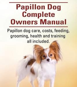 Papillon dogs. Papillon Dog Complete Owners Manual. Papillon dog care, costs, feeding, grooming, health and training all included.