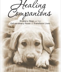 Healing Companions: Ordinary Dogs and Their Extraordinary Power to Transform Lives