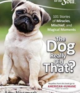 Chicken Soup for the Soul: The Dog Really Did That?: 101 Stories of Miracles, Mischief and Magical Moments