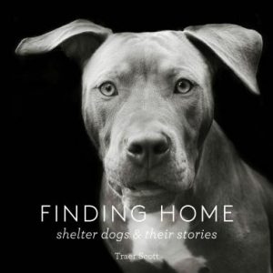 Finding Home: Shelter Dogs and Their Stories (a Photographic Tribute to Rescue Dogs)