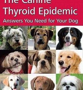 The Canine Thyroid Epidemic: Answers You Need for Your Dog
