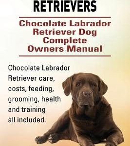 Chocolate Labrador Retrievers. Chocolate Labrador Retriever Dog Complete Owners Manual. Chocolate Labrador Retriever care, costs, feeding, grooming, h