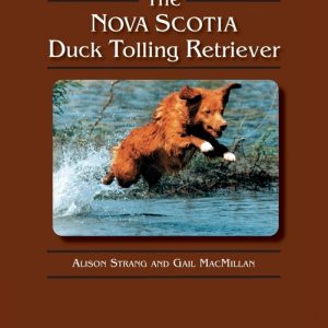 The Nova Scotia Duck Tolling Retriever