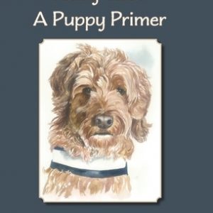 Teddy Tales: A Puppy Primer