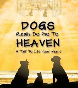 Dogs Really Do Go to Heaven