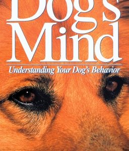 The Dog's Mind: Understanding Your Dog's Behavior