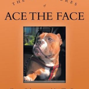 The Adventures of Ace The Face