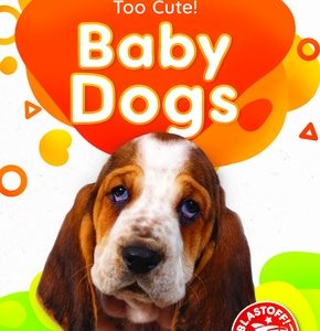 Baby Dogs