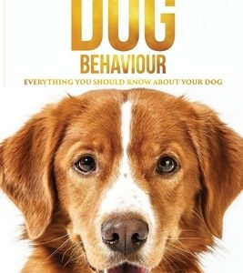 Decoding Dog Behaviour