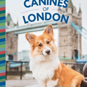 Canines of London (Dog Photography, Dog Lovers Gift)