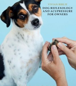Dog reflexology and acupressure for owners