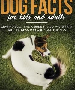 200 Amazing Dog Facts For Kids And Adults: Learn about the weirdest dog facts that will impress you and your friends