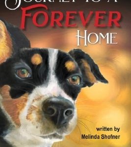 Journey to a Forever Home