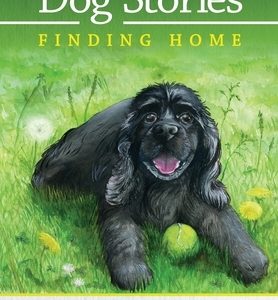 Dog Stories Finding Home
