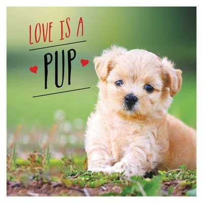 Love Is a Pup: A Dog-Tastic Celebration of the World's Cutest Puppies
