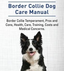 Border Collies. Border Collie Dog Care Manual. Border Collie Temperament, Pros and Cons, Health, Care, Training, Costs and Medical Concerns.