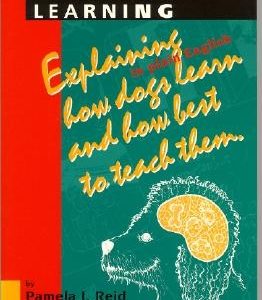 Excel-Erated Learning: Explaining in Plain English How Dogs Learn and How Best to Teach Them