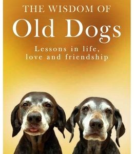 The Wisdom of Old Dogs: Lessons in Life, Love and Friendship