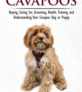 Cavapoos - The Owner's Guide From Puppy To Old Age - Buying, Caring for, Grooming, Health, Training and Understanding Your Cavapoo Dog or Puppy