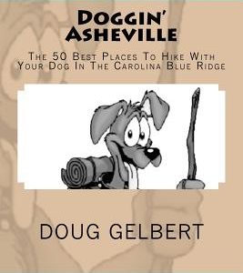 Doggin' Asheville: The 50 Best Places To Hike With Your Dog In The Blue Ridge