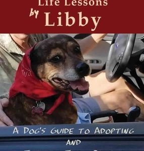 Life Lessons by Libby