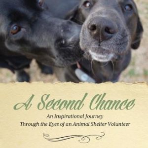 A Second Chance: An Inspirational Journey through the Eyes of an Animal Shelter Volunteer