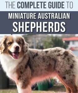 The Complete Guide to Miniature Australian Shepherds: Finding, Caring For, Training, Feeding, Socializing, and Loving Your New Mini Aussie Puppy