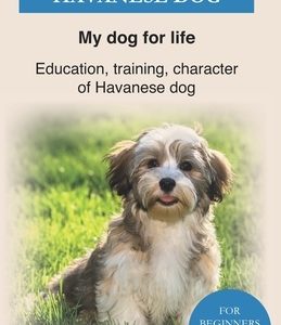Havanese Dog: Education, training, character of Havanese Dogs - The Havanese Book