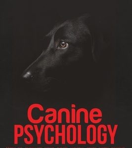 Canine Psychology: How to enhance your dog's mental state with canine enrichment support. The Easiest guide to decoding canine body langu
